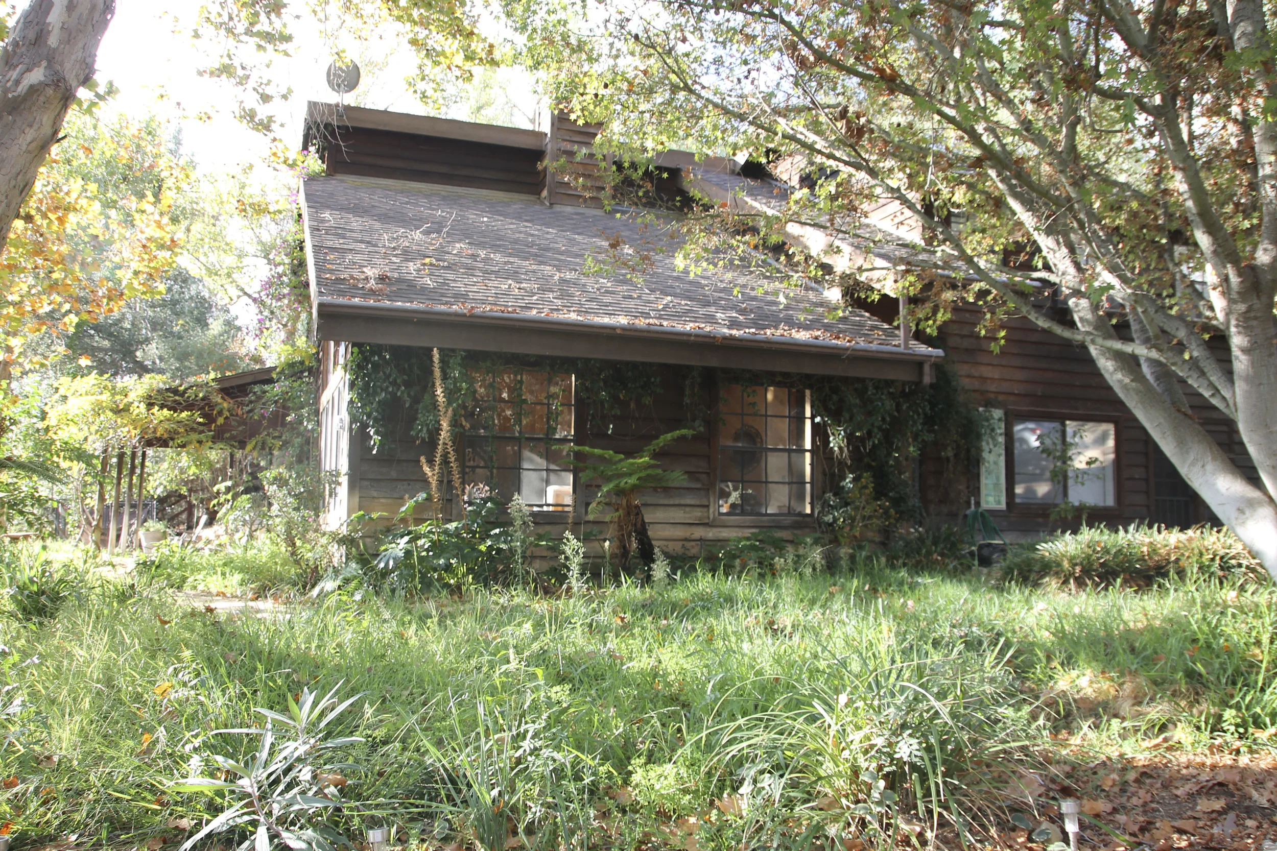 Topanga california yogatonic on tour2315.jpg
