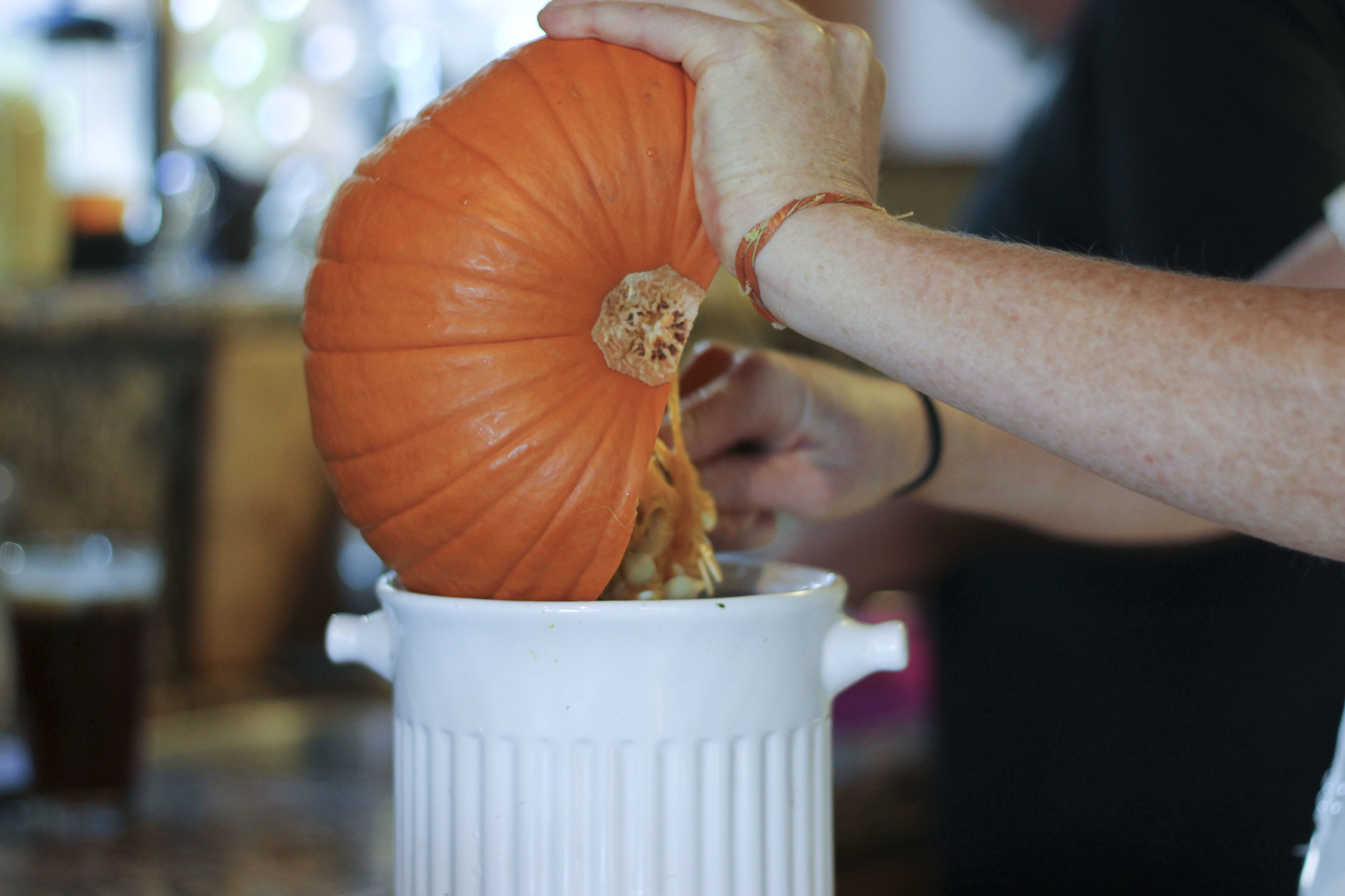 PUMPKIN Thanksgiving Topanga 20142460.jpg