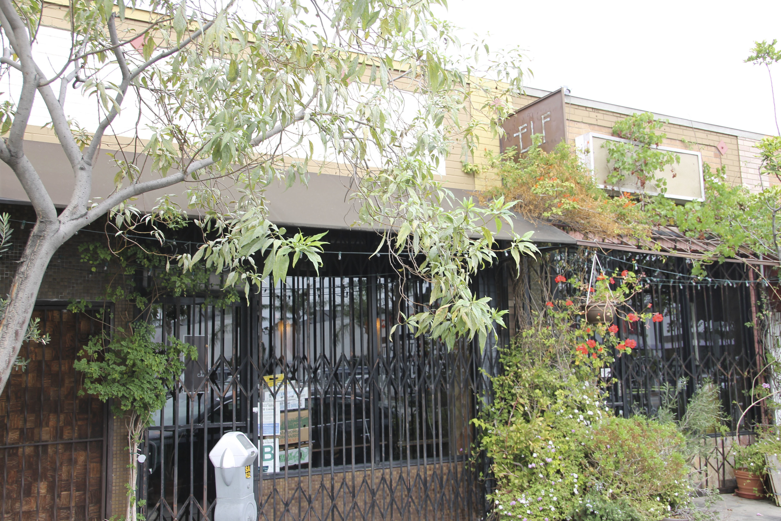 elf vegan silverlake Los Angeles California2558.jpg