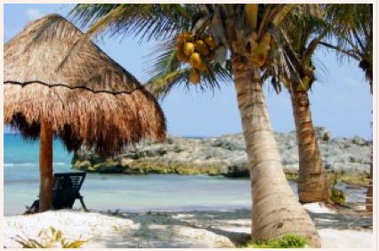 RETREAT// Yoga vacations with Bryan Kest, La Palma, Canary Islands