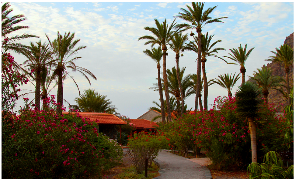 RETREAT// Yoga meets Martial Arts with Yi-Chung and Swen, La Gomera