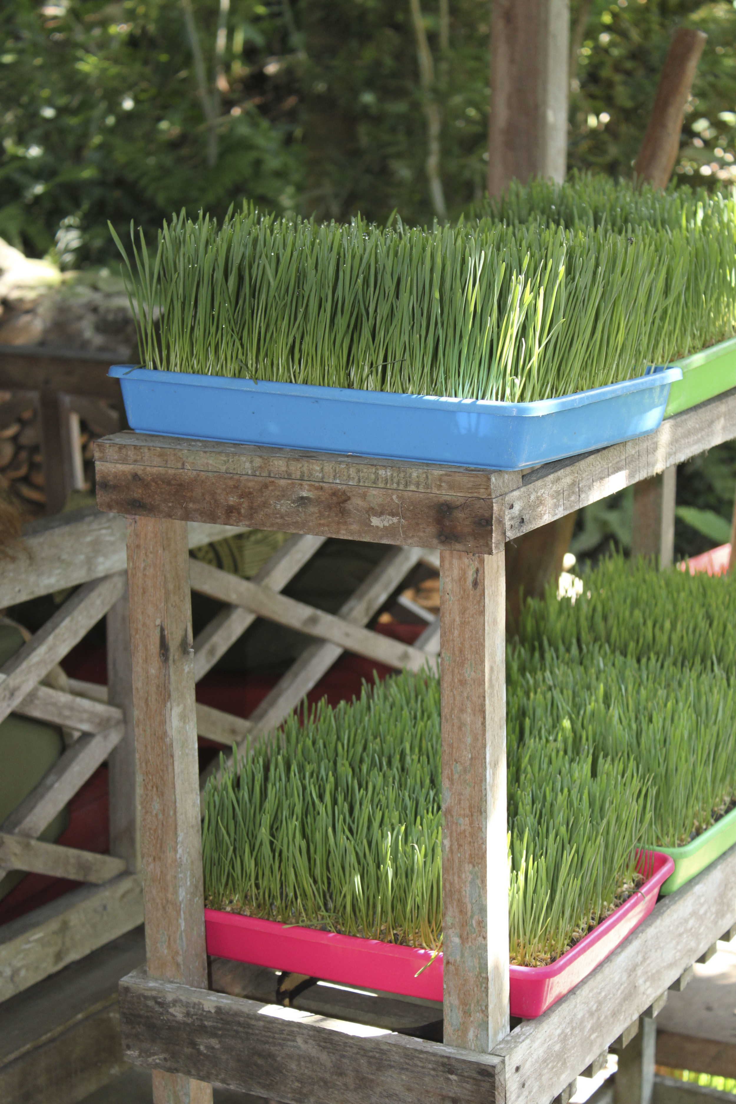 barn yoga, Yoga Studio, Ubud, Bali3204.jpg