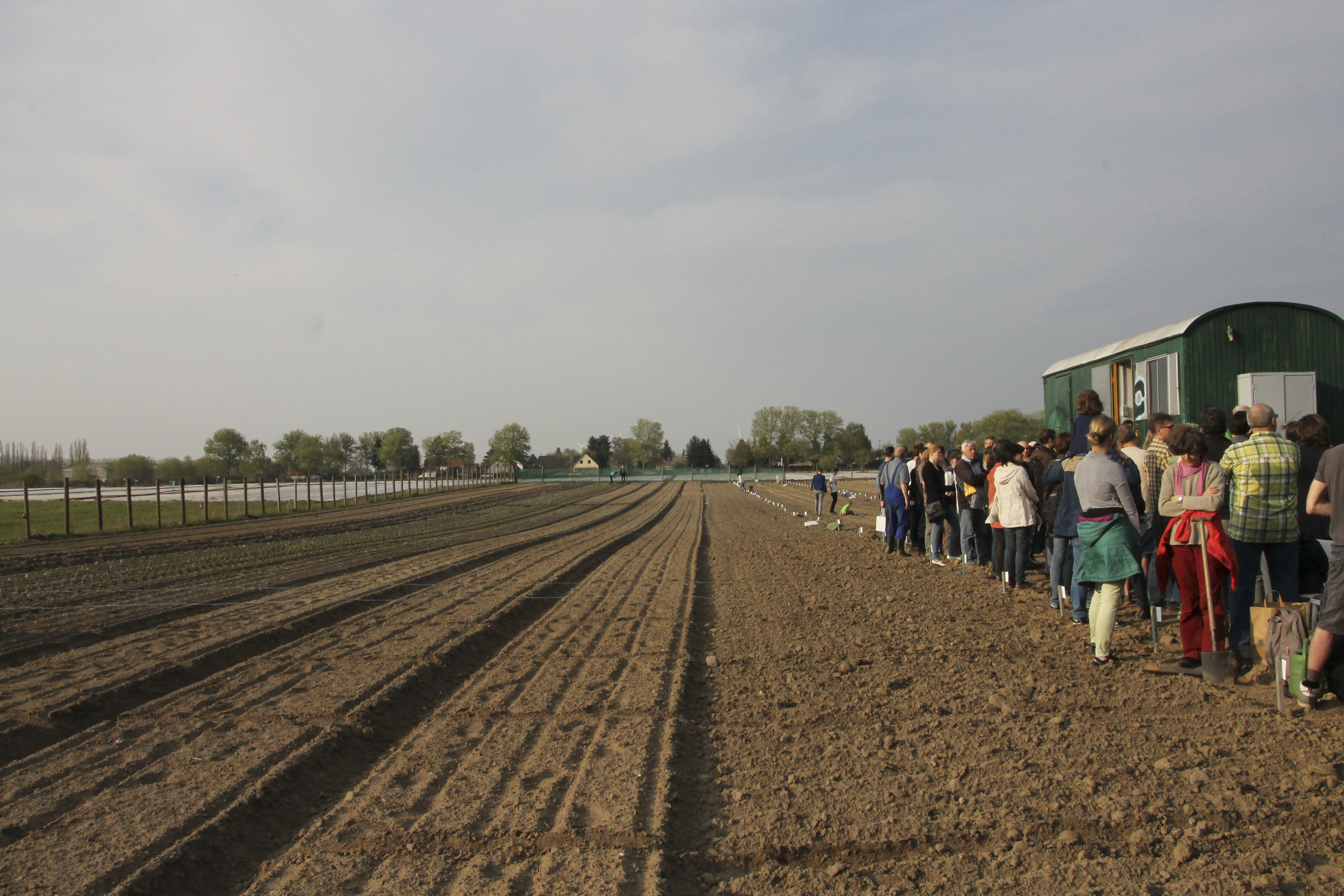 Meine Ernte, eigener Gemüsegarten, Berlin Waltenburg3277.jpg