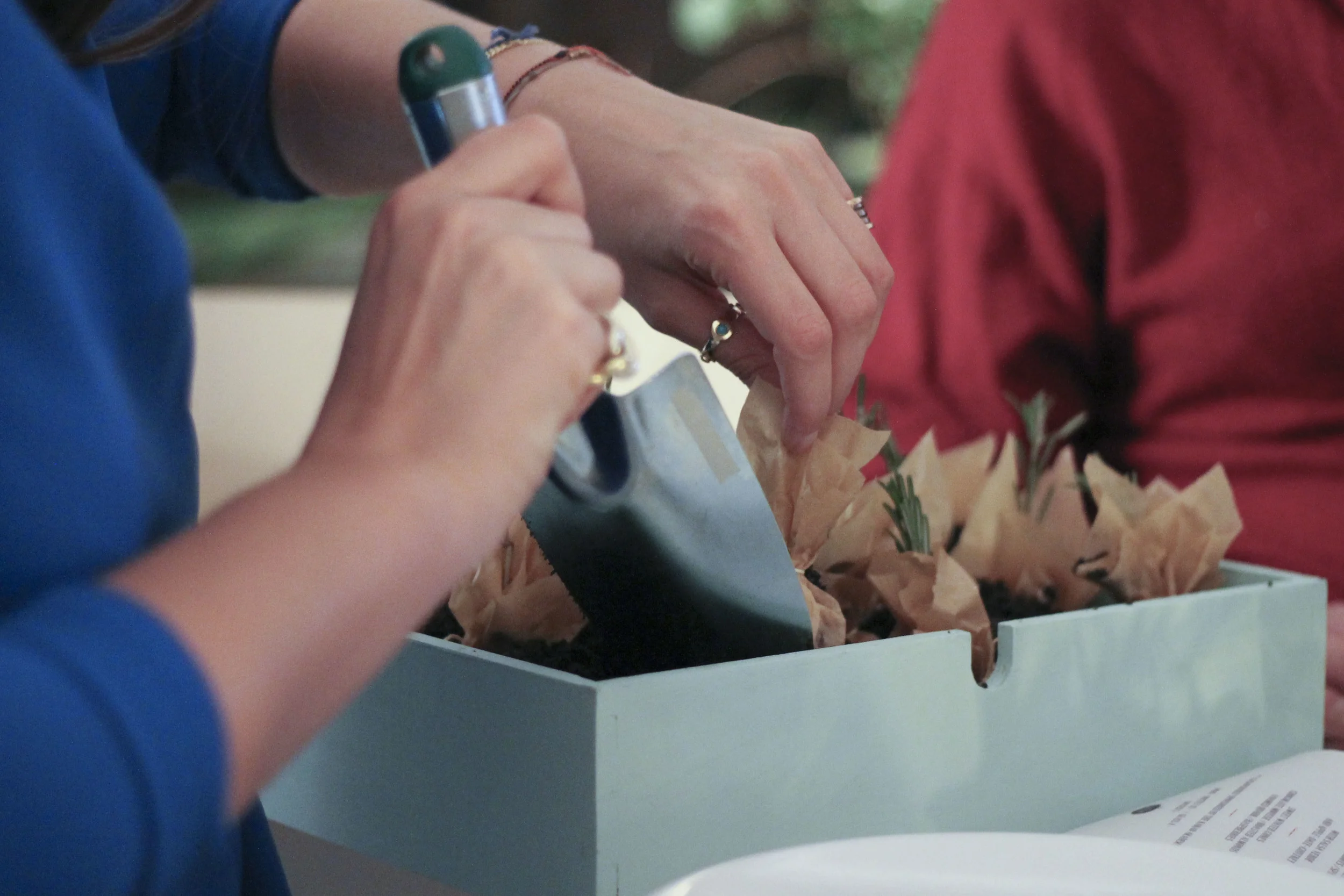 Wild & Root, supperclub2936.jpg