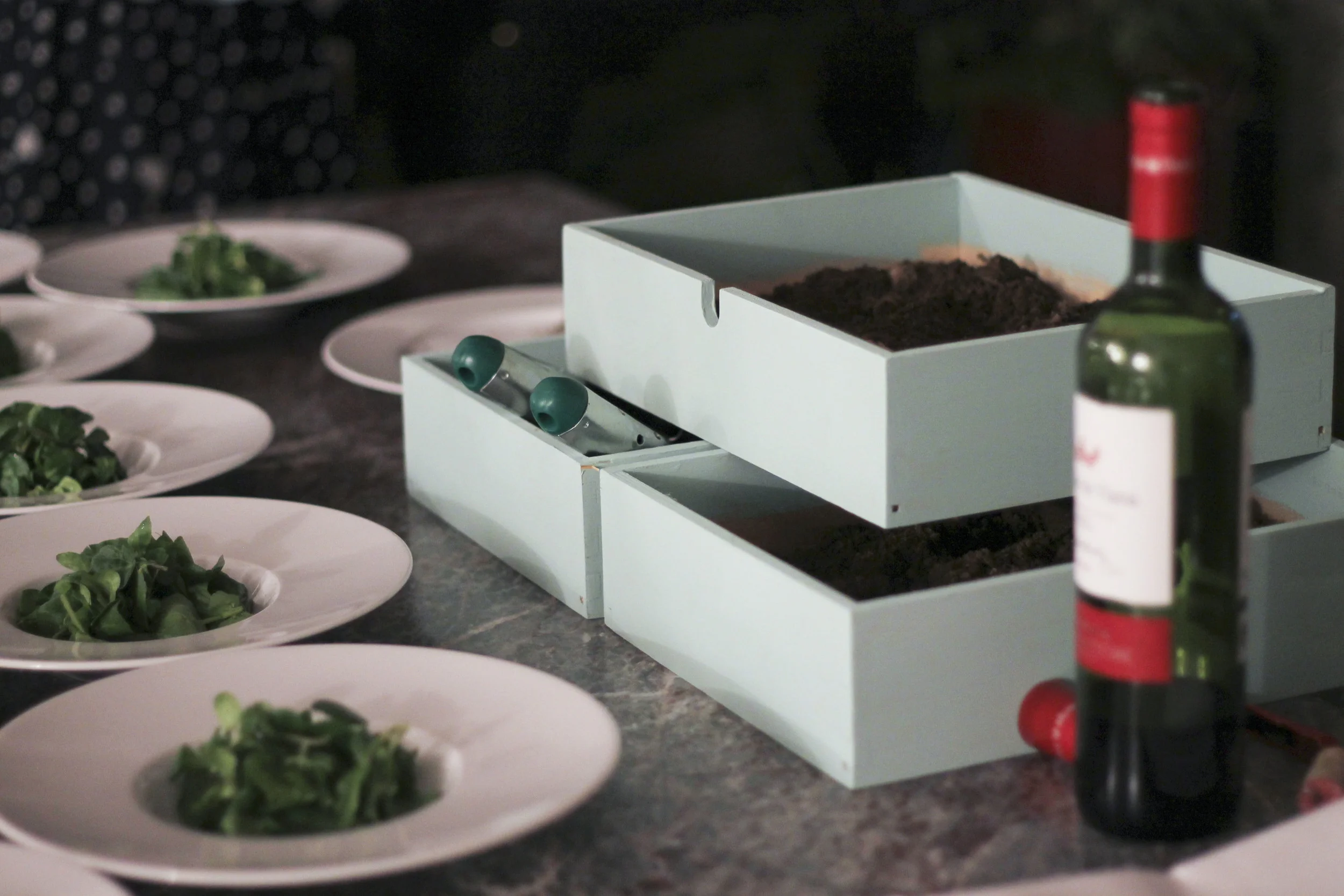 Wild & Root, supperclub2935.jpg