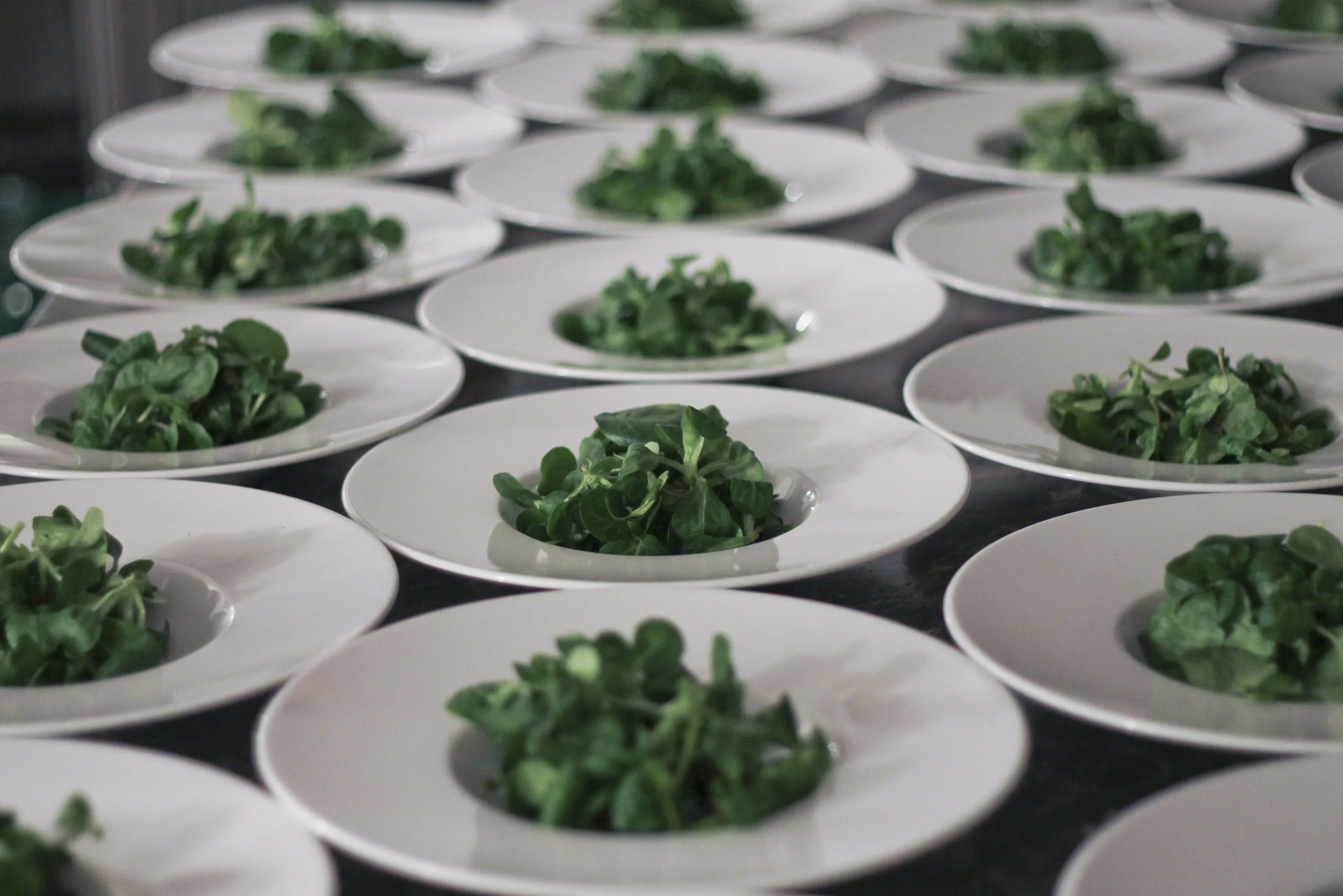 Wild & Root, supperclub2934.jpg
