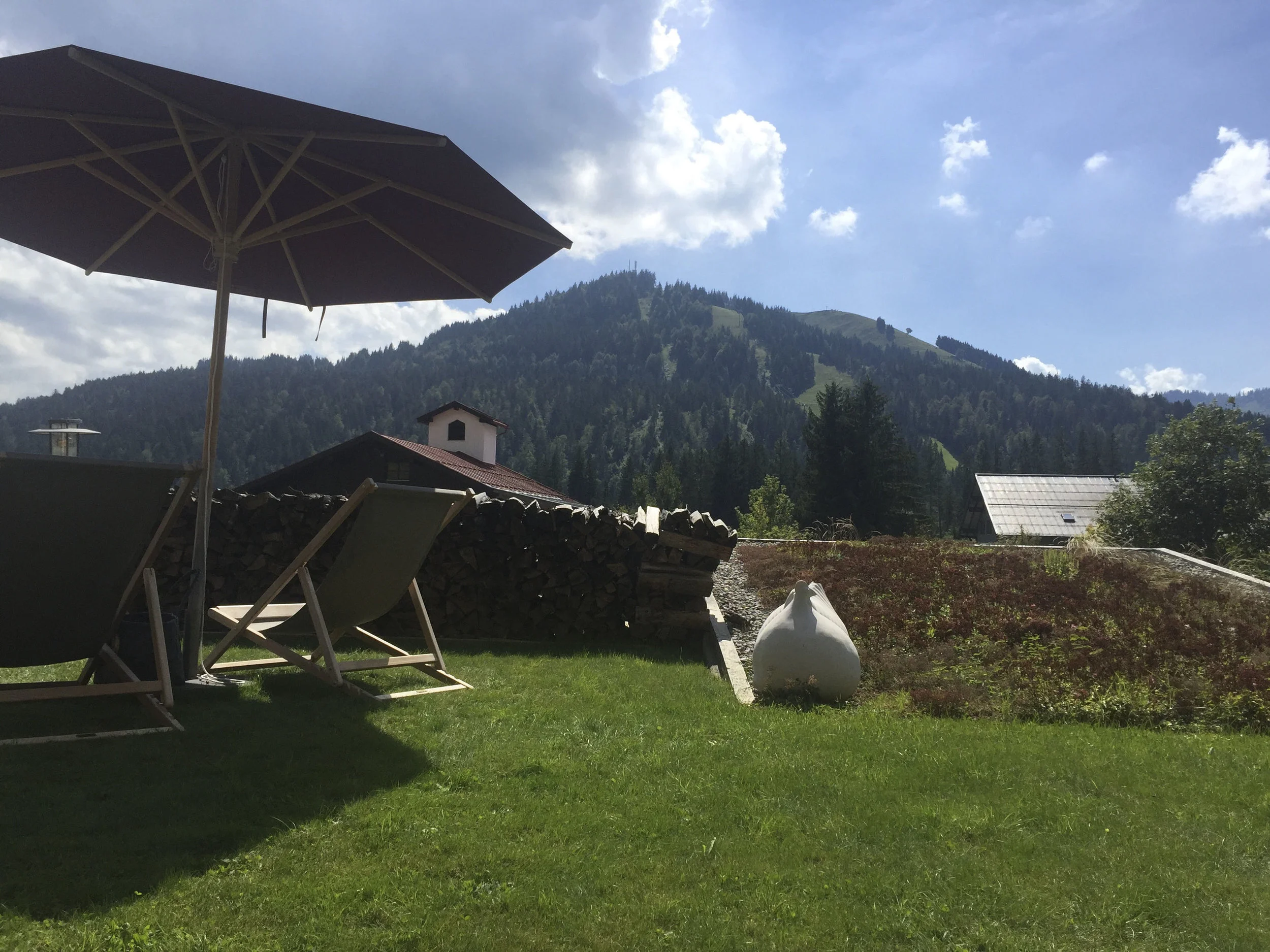 Hubertus Alpin Lodge & Spa4416.jpg