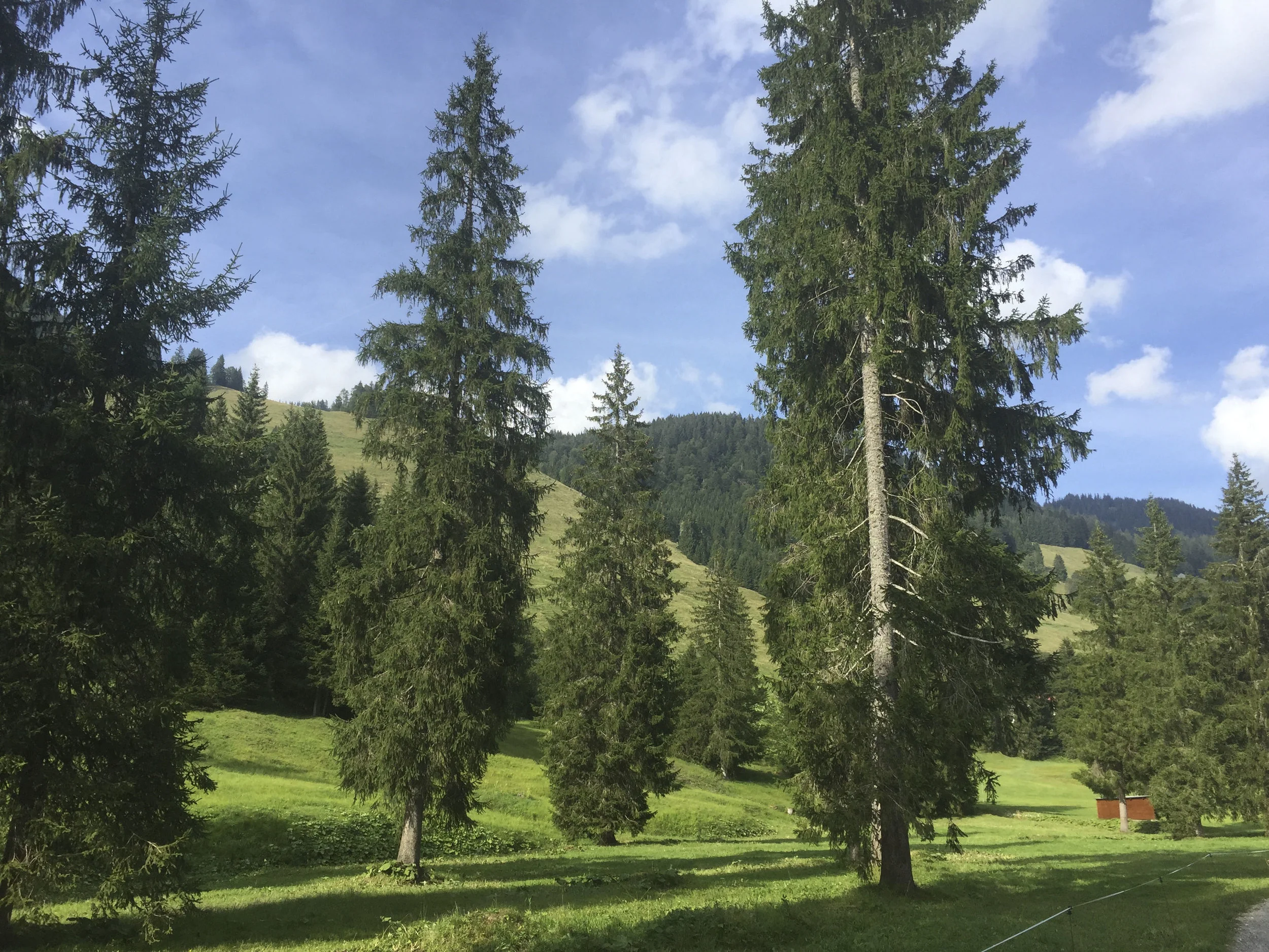 Hubertus Alpin Lodge & Spa4418.jpg