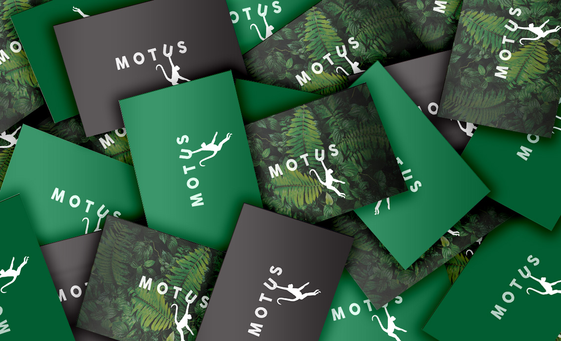 MOTUS_MOCK UP_BUSINESS CARDS_bundle.jpg