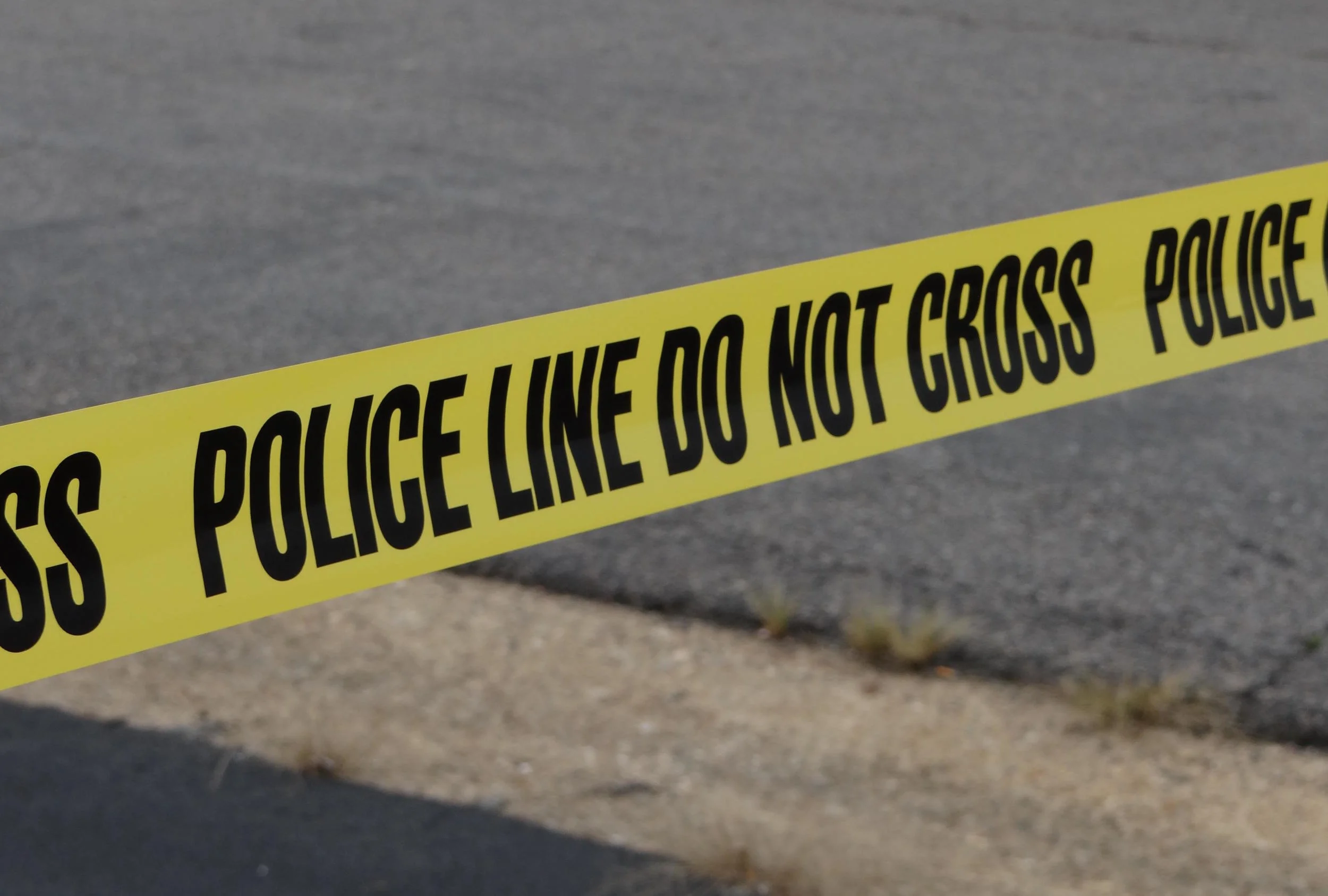 website - DSC06922.JPG