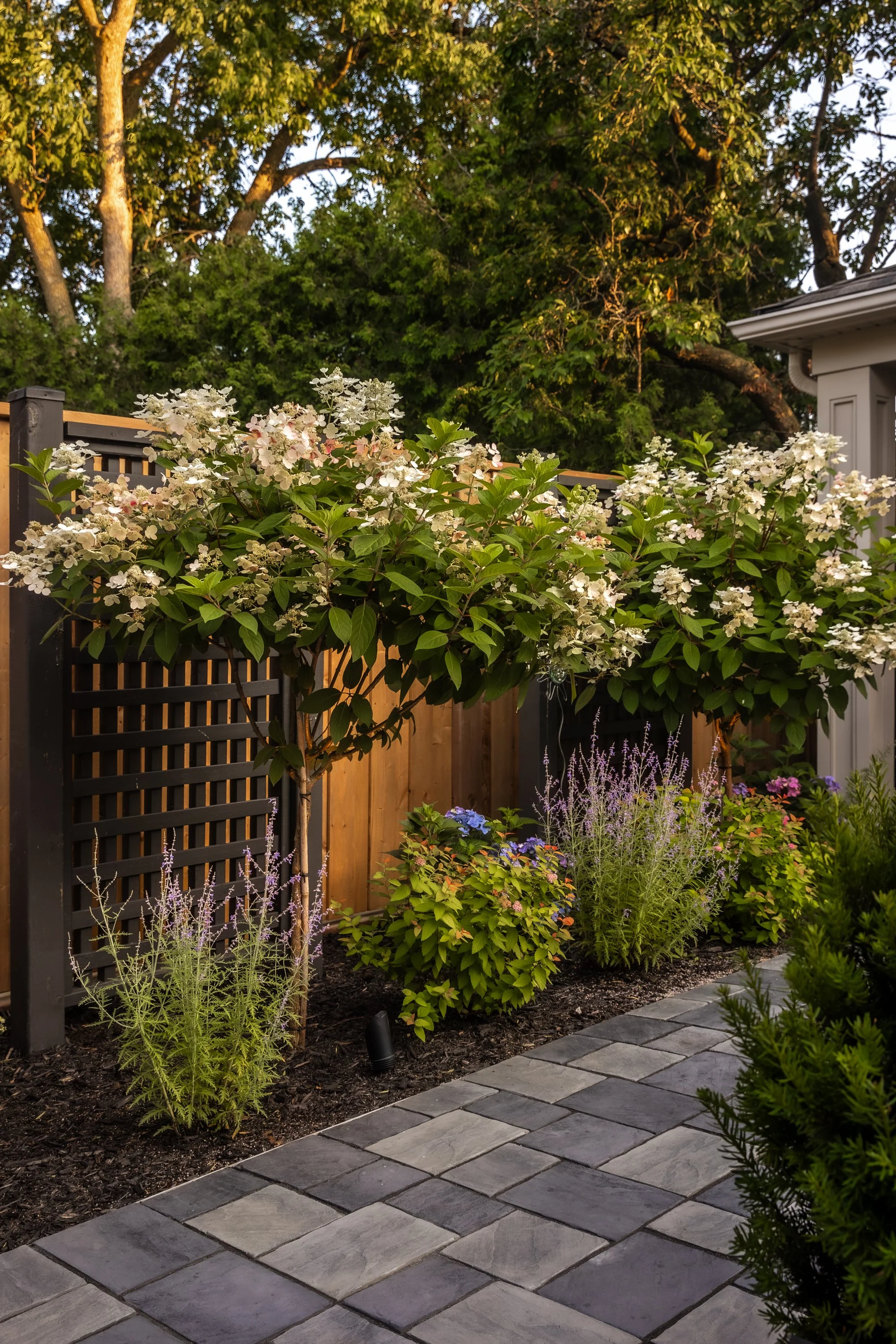 IMGL6571-HDR.jpg