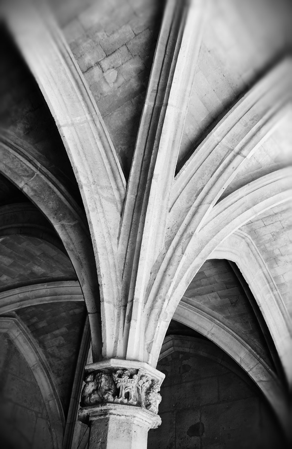 Vaulted Ceiling Cluny