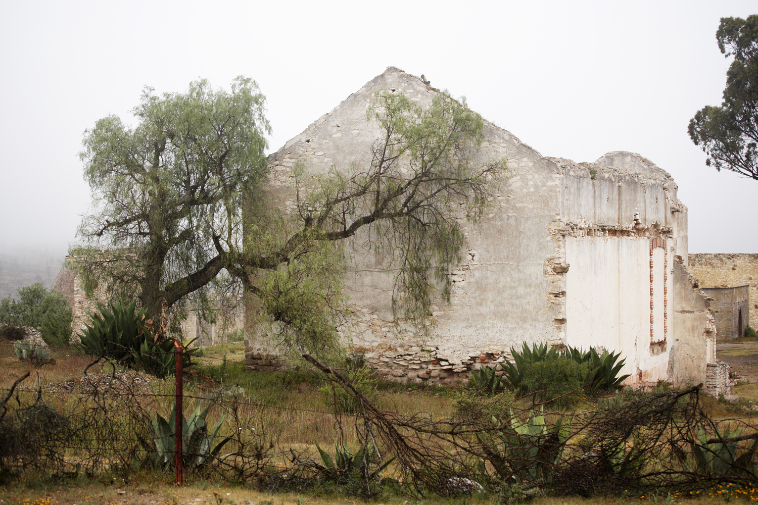 Mineral de Pozos