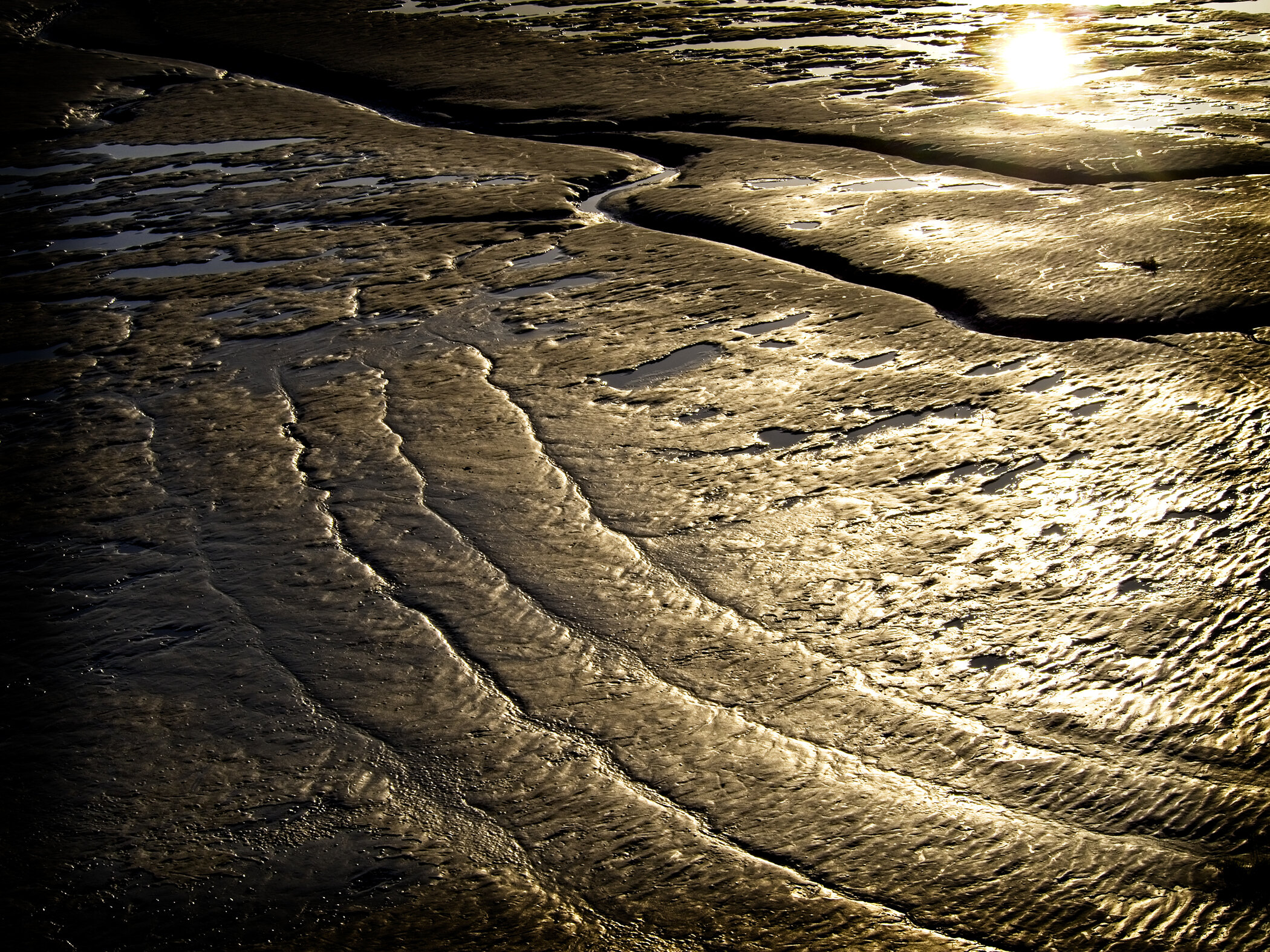 Low Tide Series (Mont St Michel)