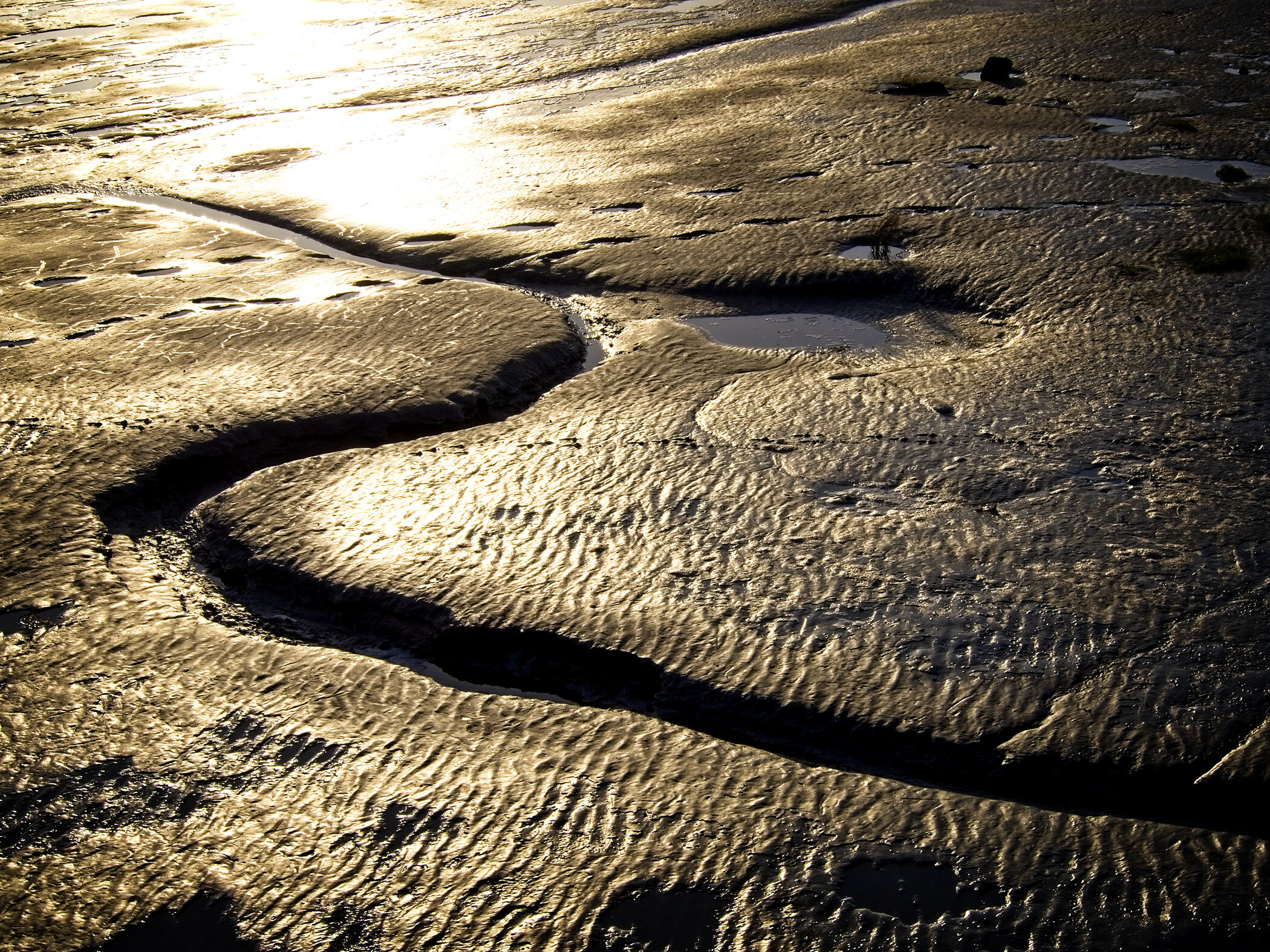 Low Tide Series (Mont St Michel)