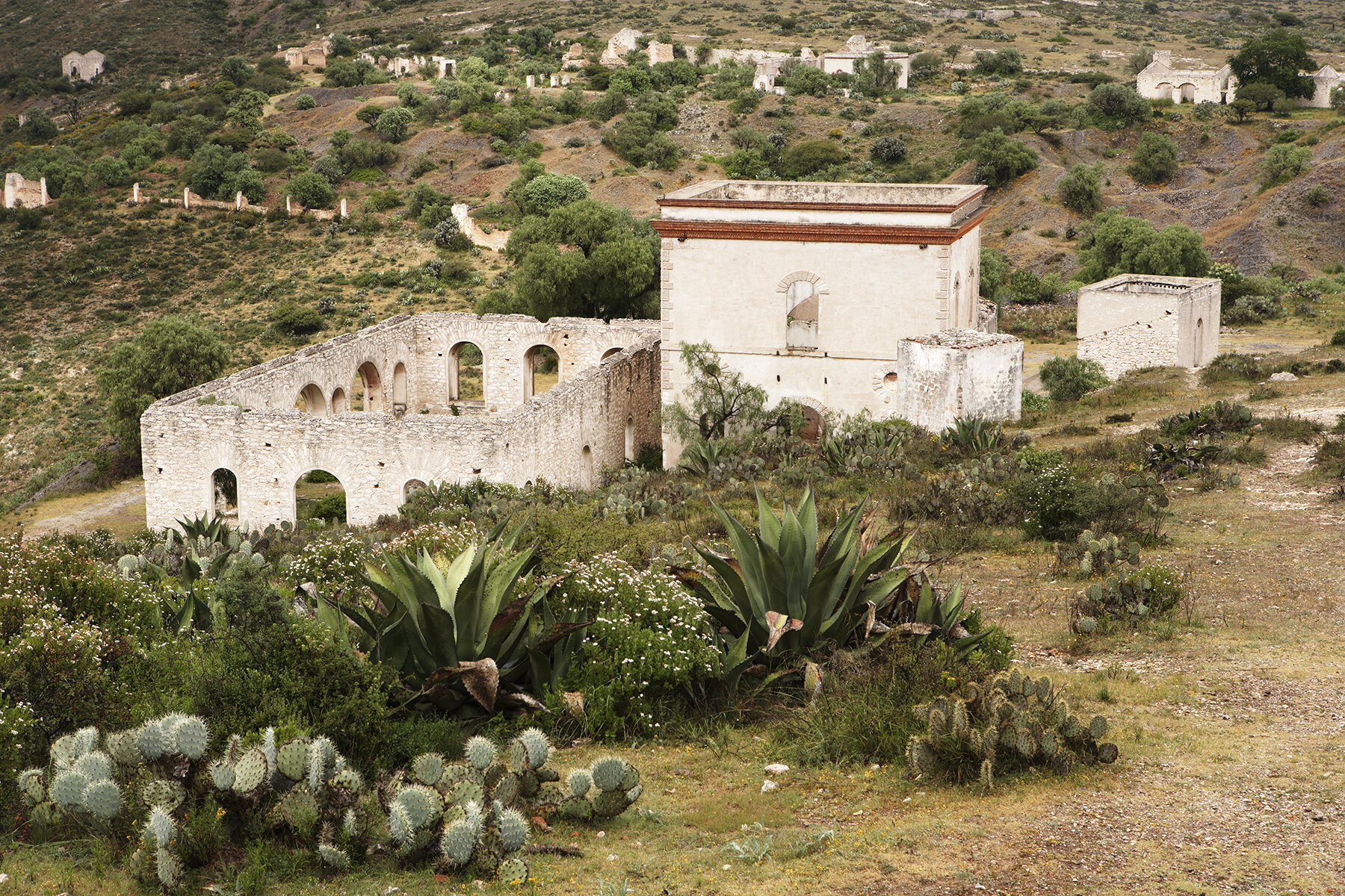 Abandoned Silver Mining Town