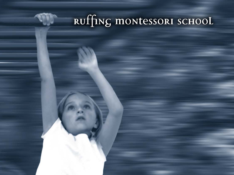 Portfolio_RUFFING_2008AR_thumbnail.png
