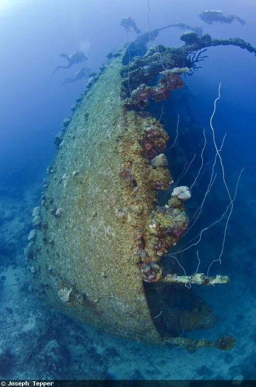 The Teshio Maru is the largest known wreck in Palau, whose large bow cuts through the gloomy waters of the inner lagoon. 