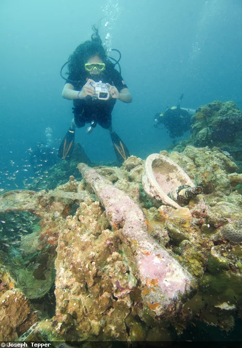 Coral-encrusted guns are littered about the wrecks--along with gas masks, saki bottles, and ammunition.