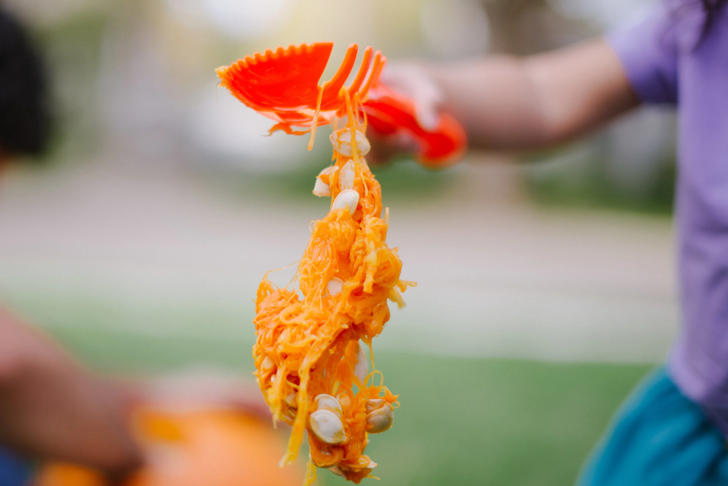 Pumpkin Fall Halloween Children's Lifestyle Photography Salt Lake City-7.jpg