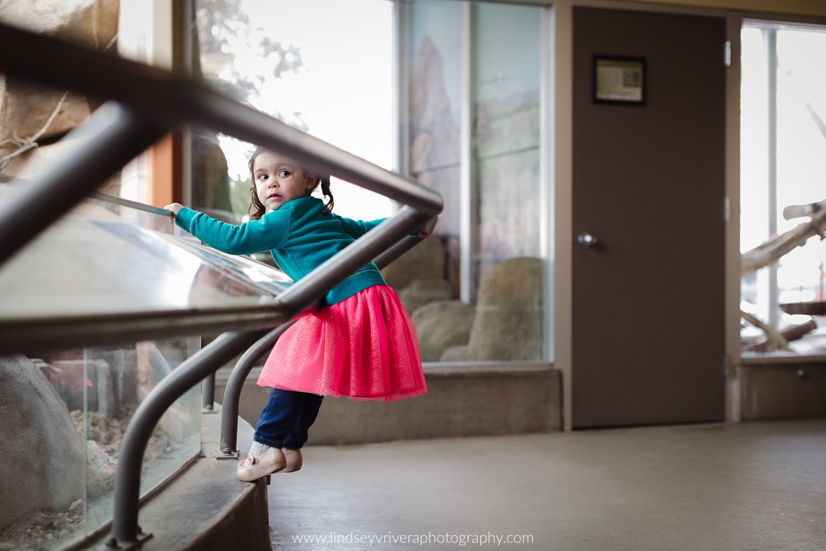 hogle zoo salt lake city friends everyday life photography-7.jpg