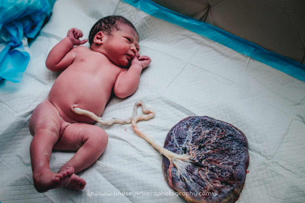 Born {Birth} Photography Salt Lake City Bearth Midwifery Homebirth Utah 54.jpg