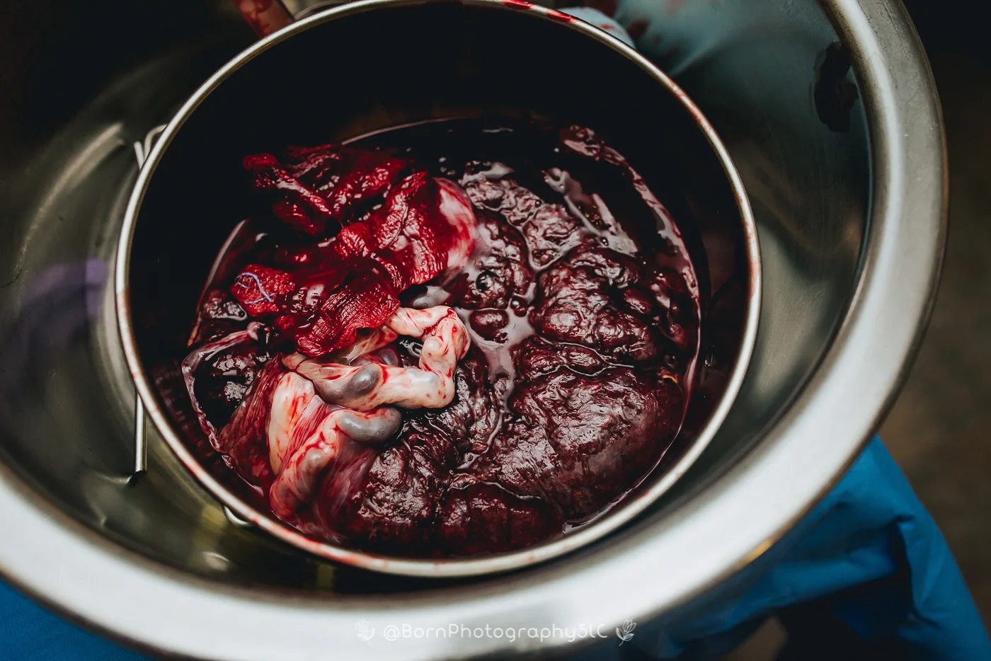 The-Placenta-Birth-Photography-Salt-Lake-City,-Park-City-Utah-7.jpg