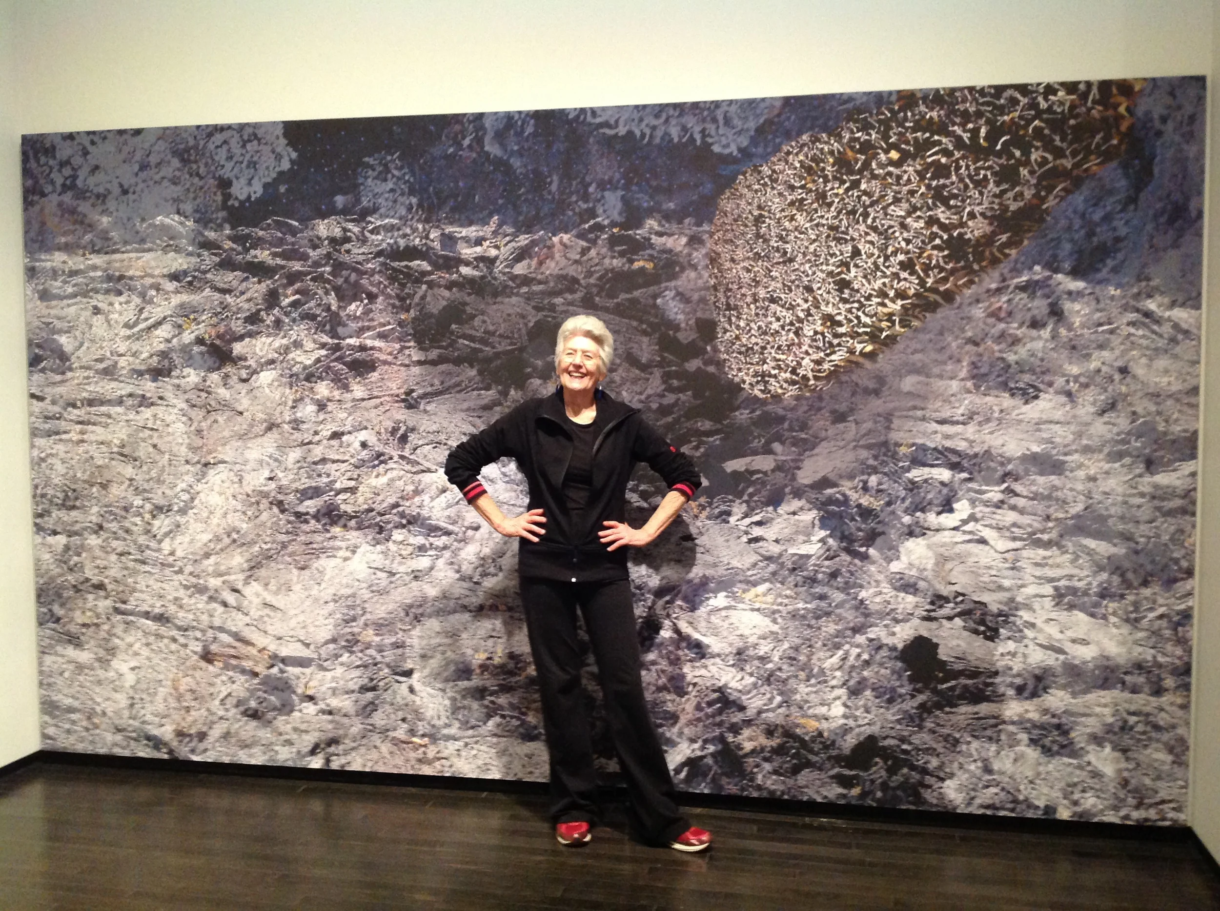  Lyndal Osborne in front of the finished panel installation. 