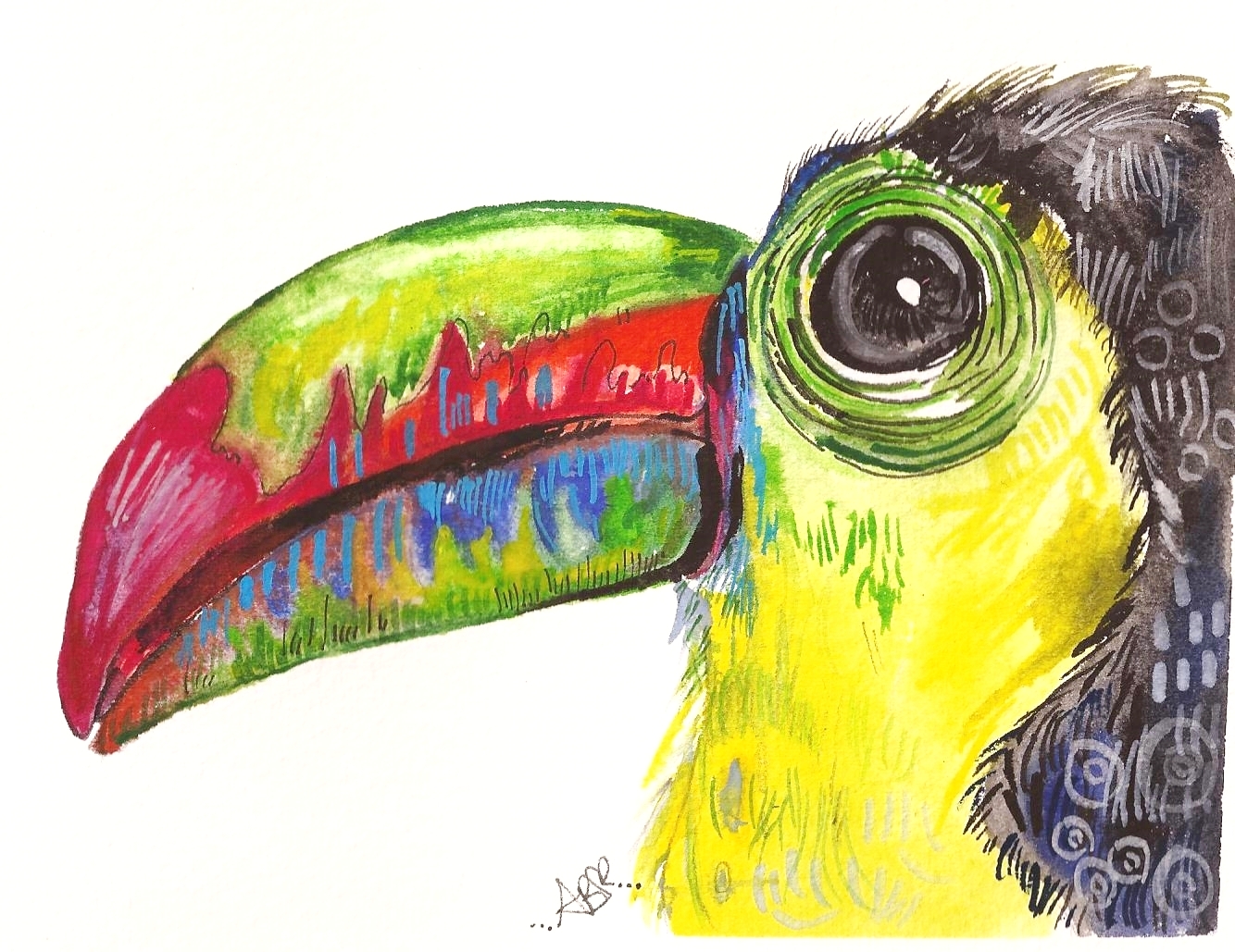 "Keel Billed Toucan" (2015)