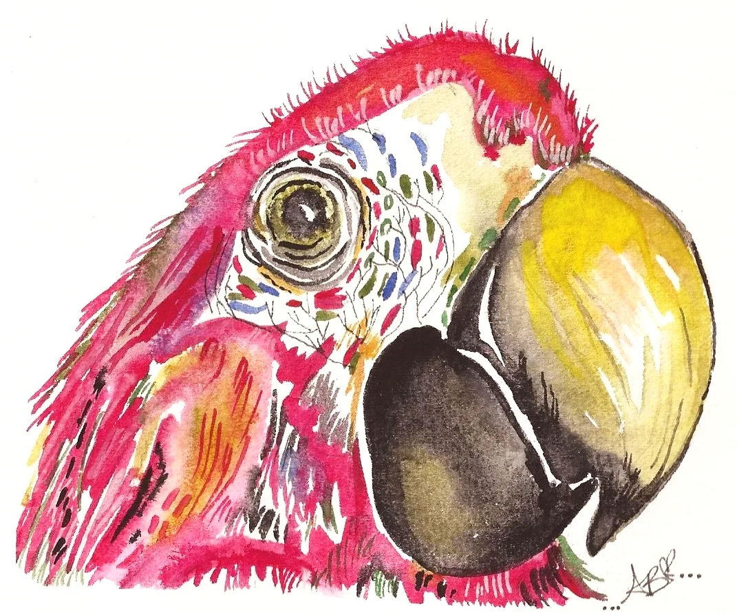 "The Parrot of Paradise" (2015)