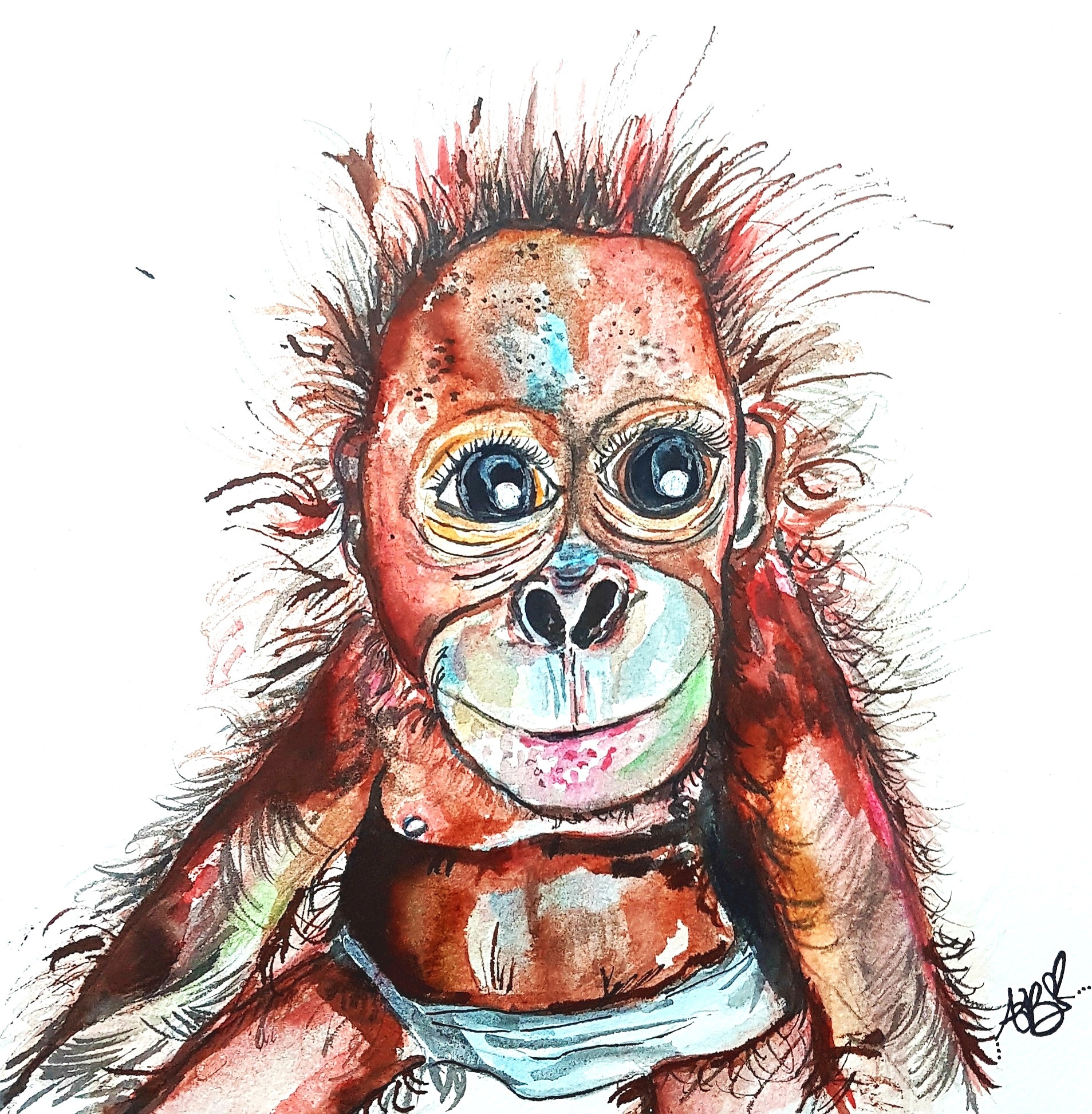 "Ottis" - The Baby Orangutan (2019)