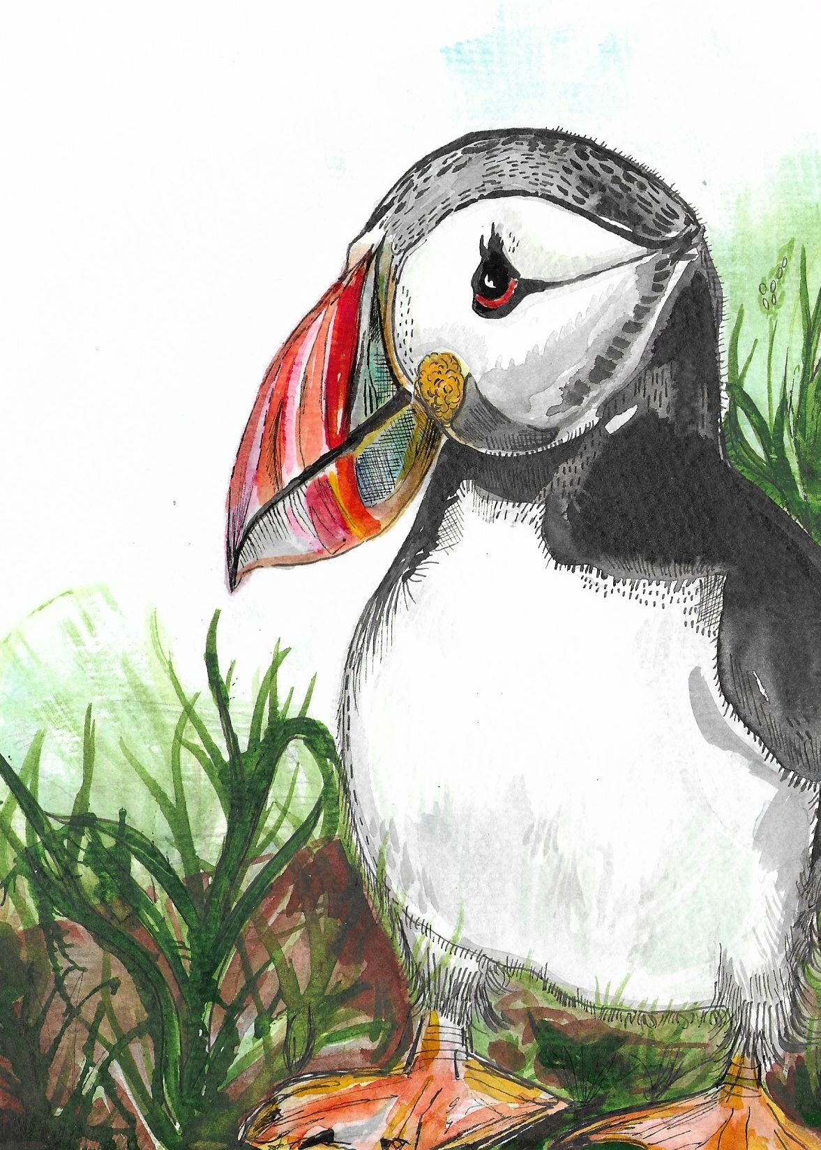 "Guinness the Puffin" (2020) 