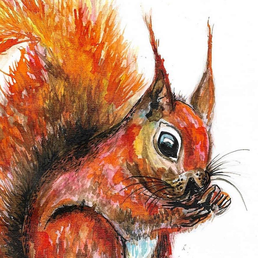 Happy Thursday! ❤️🧡&rsquo;Ruby-Roo the Red Squirrel!&rsquo; 🐿- Animal Illustration Series. 
.
.
#ashebickillustrations #artist #illustrator #inks #watercolours #redsquirrel #quirkyart #watercolourpainting 

&copy;️ Ashleigh Bickerstaff Art.