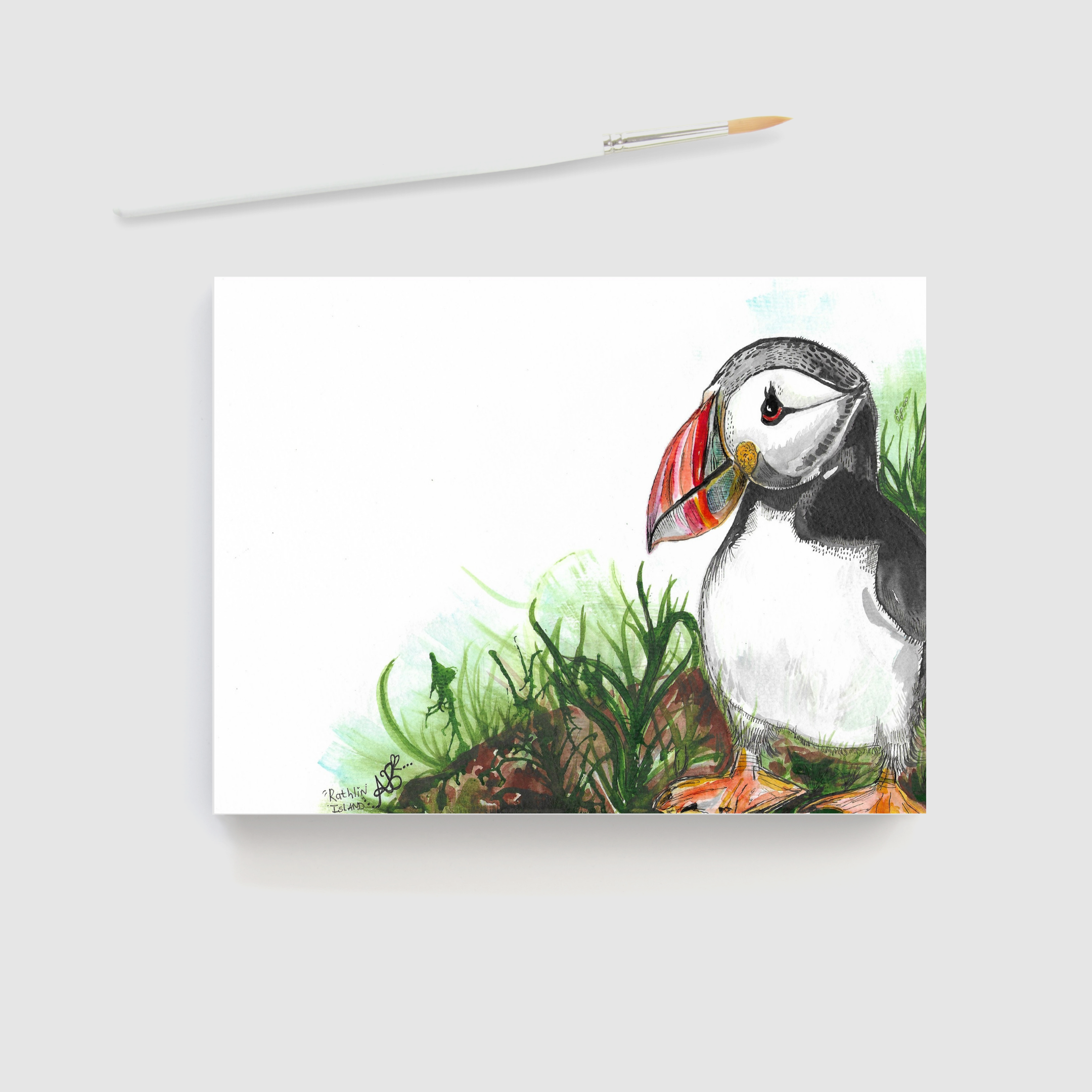 ‘Guinness the Puffin’ Prints