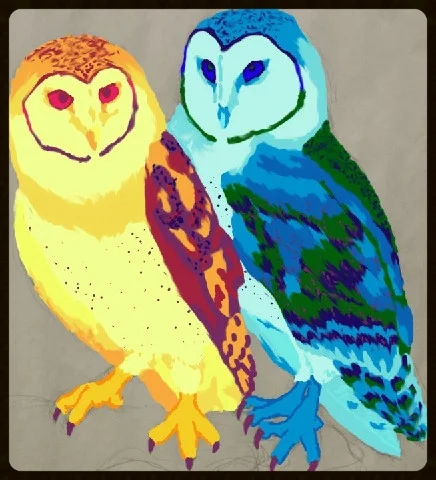 owls.jpg