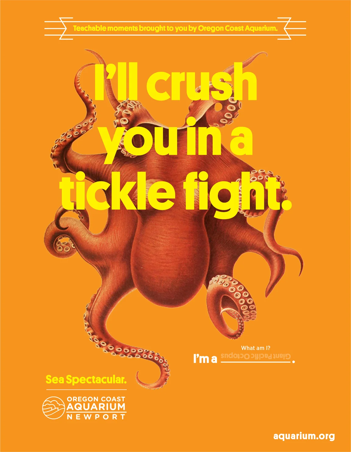 octopus_print.jpg