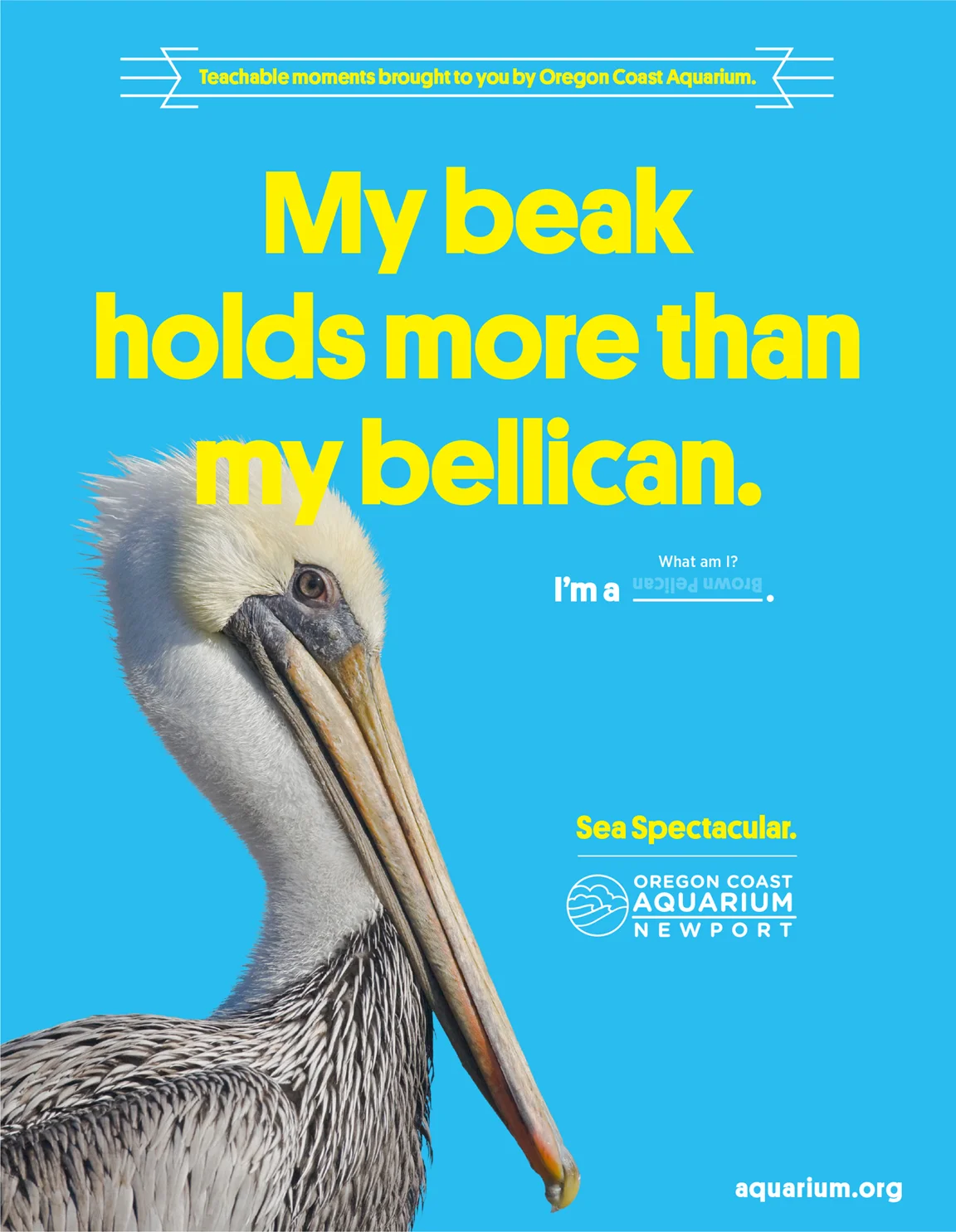 pelican_print.jpg