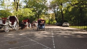 Central Park. Saturday AM. (01/02)