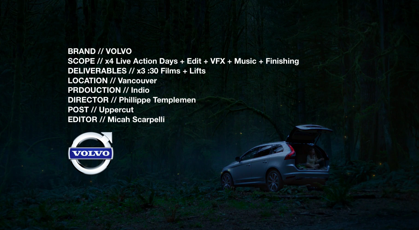 SSE AGENCY 30