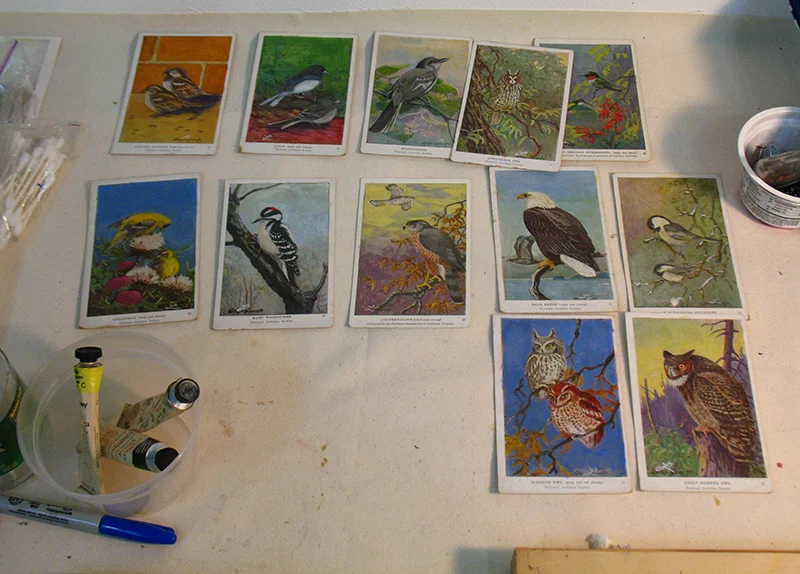 birdcard_table.jpg