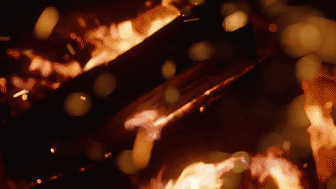 giphy-1.gif