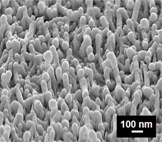 Nano textured flouropolymer coating.jpg