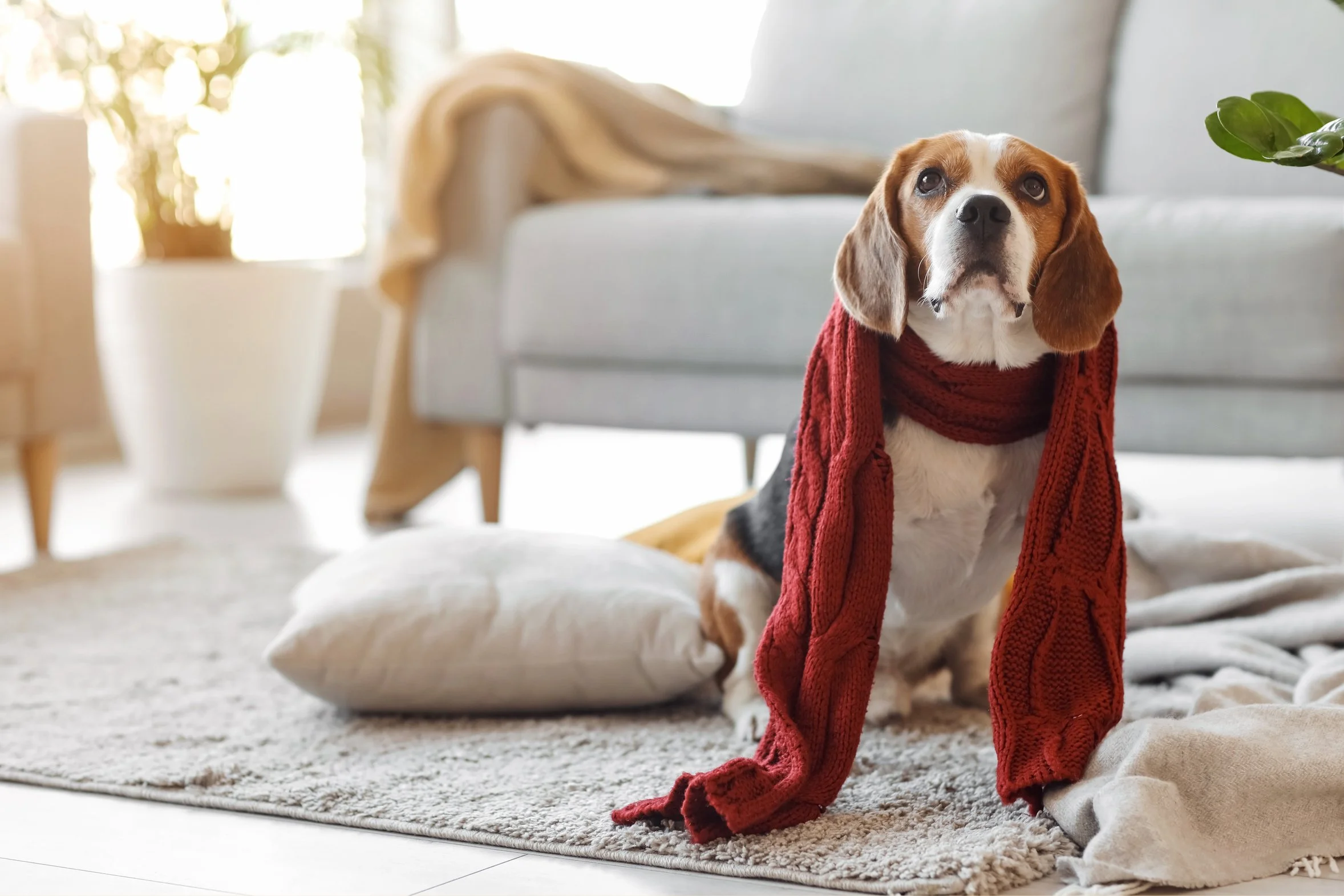 10 Ways to Prepare Your Home for Freezing Weather