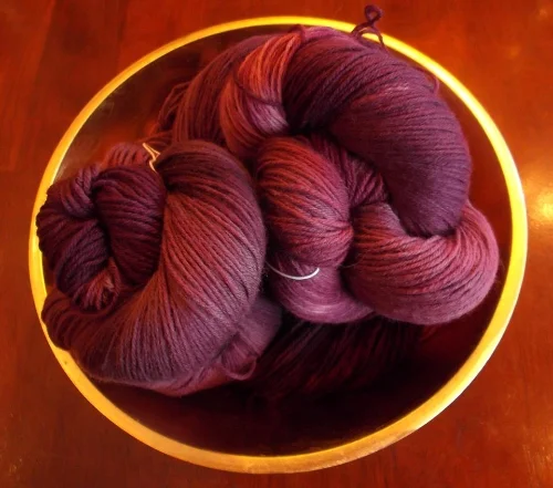 elderberry.jpg