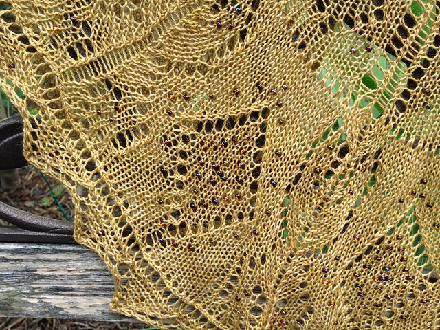photo copyright The Alpaca Yarn Company