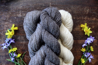 Plain Yarn is organic, undyed, local Romney Wool