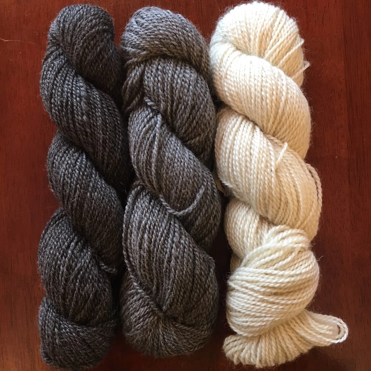 Shop — Lancaster Yarn Shop