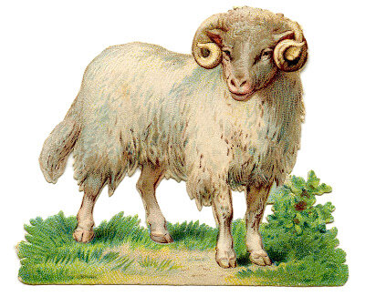 Sheep-Image-Vintage-GraphicsFairy.jpg