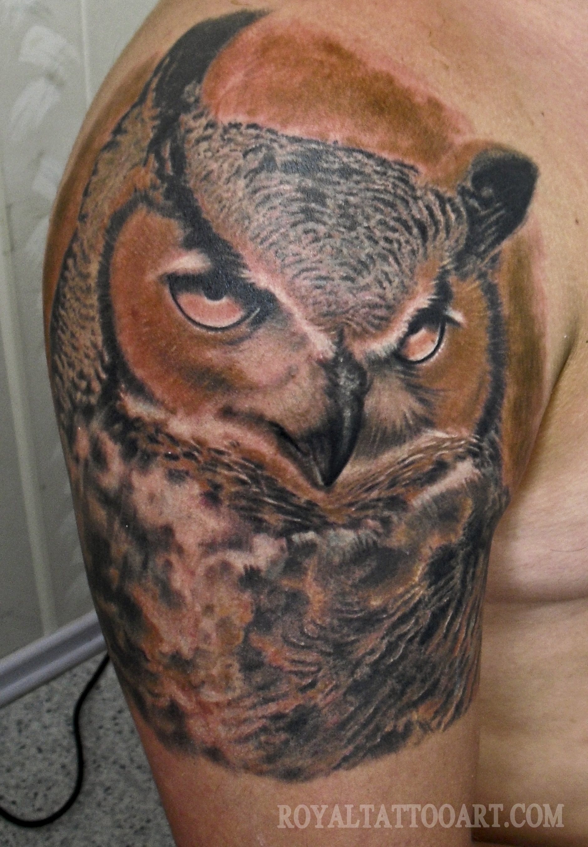 OwlMoscowJPG copy.jpg