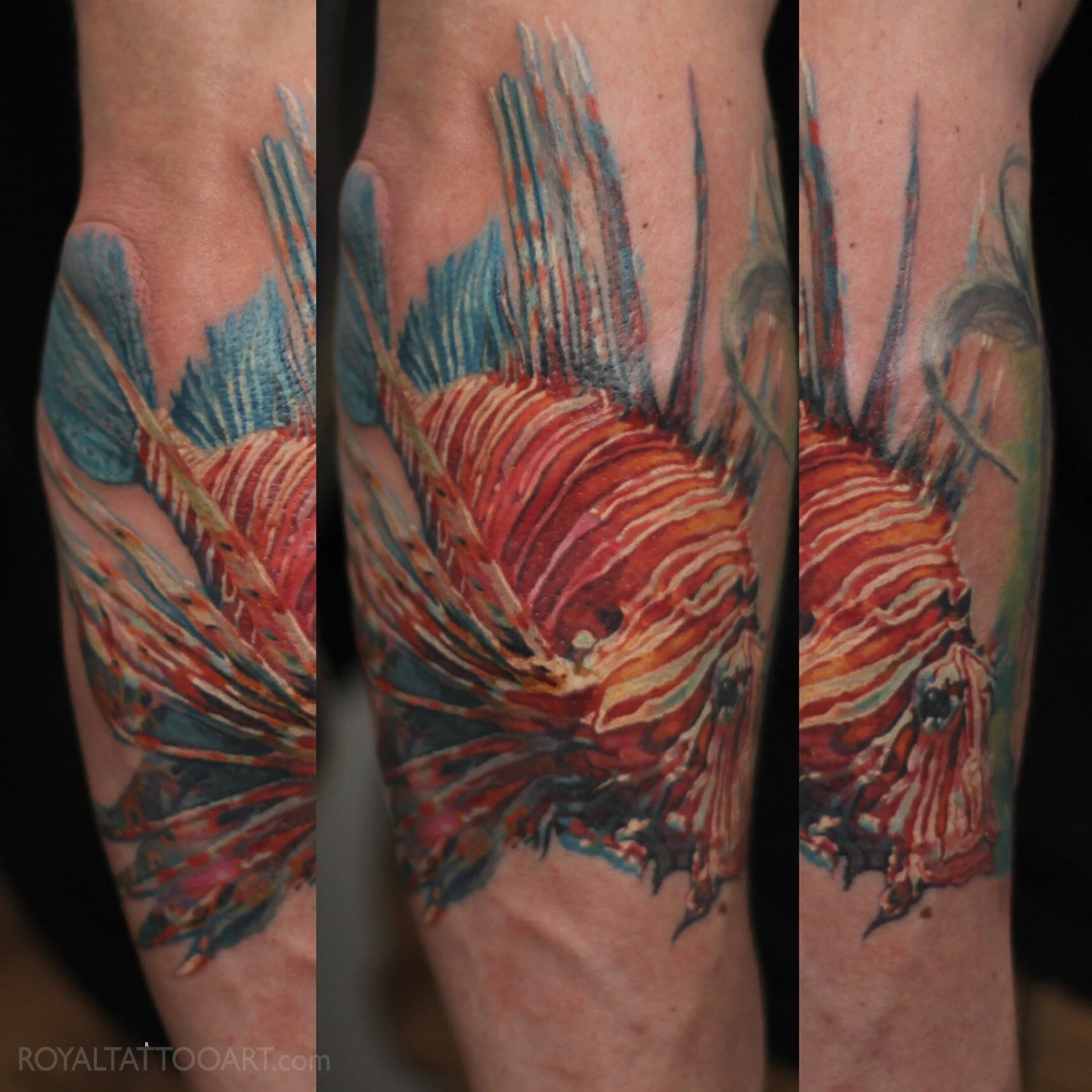 Complementary color realism tattoos on both calves portray exotic fish with flowing fins in warm orange and blue tones.